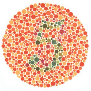 Ishihara color blind test